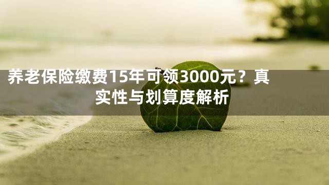 养老保险缴费15年可领3000元？真实性与划算度解析