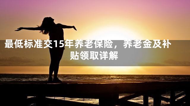 最低标准交15年养老保险，养老金及补贴领取详解