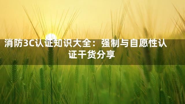 消防3C认证知识大全：强制与自愿性认证干货分享
