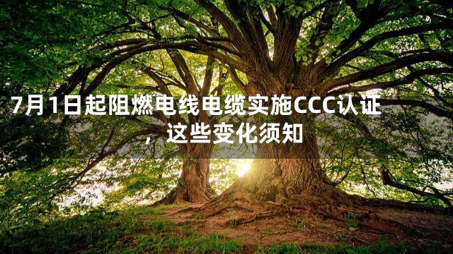 7月1日起阻燃电线电缆实施CCC认证，这些变化须知