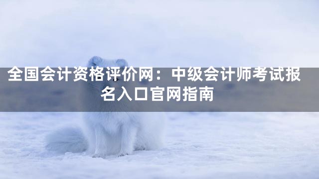 全国会计资格评价网：中级会计师考试报名入口官网指南