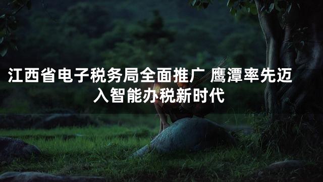 江西省电子税务局全面推广 鹰潭率先迈入智能办税新时代