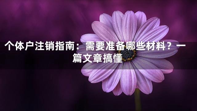个体户注销指南：需要准备哪些材料？一篇文章搞懂