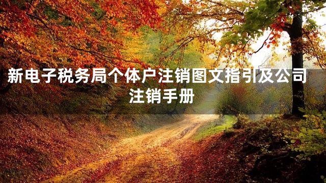 新电子税务局个体户注销图文指引及公司注销手册