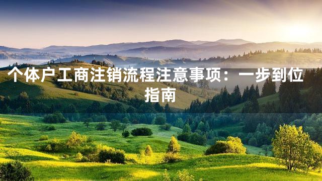 个体户工商注销流程注意事项：一步到位指南