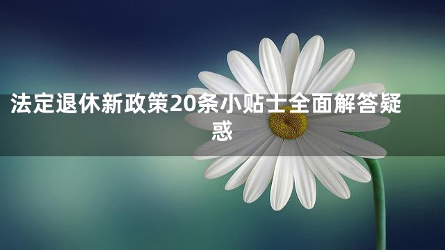 法定退休新政策20条小贴士全面解答疑惑