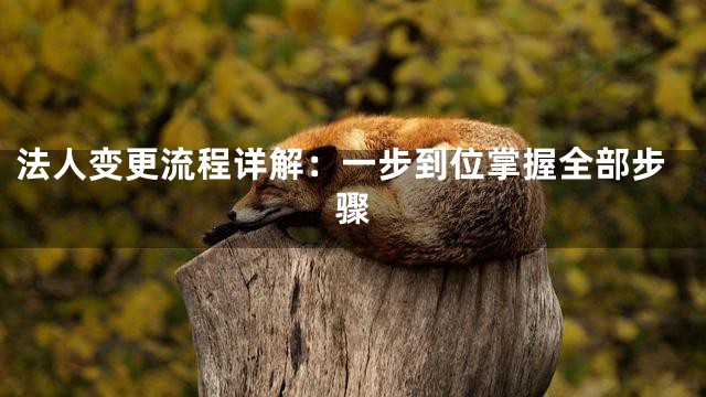 法人变更流程详解：一步到位掌握全部步骤