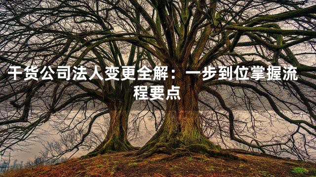 干货公司法人变更全解：一步到位掌握流程要点