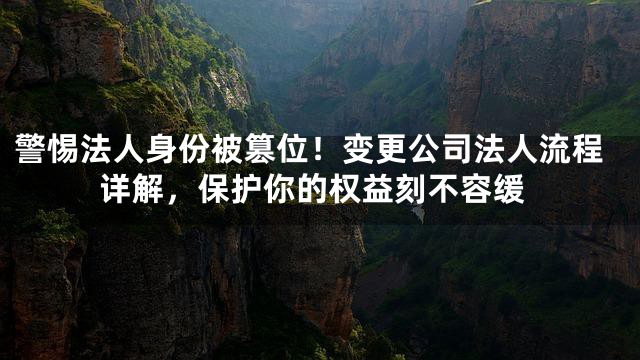 警惕法人身份被篡位！变更公司法人流程详解，保护你的权益刻不容缓