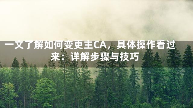 一文了解如何变更主CA，具体操作看过来：详解步骤与技巧