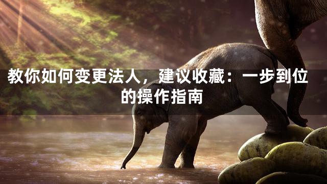 教你如何变更法人，建议收藏：一步到位的操作指南