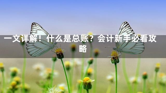 一文详解！什么是总账？会计新手必看攻略
