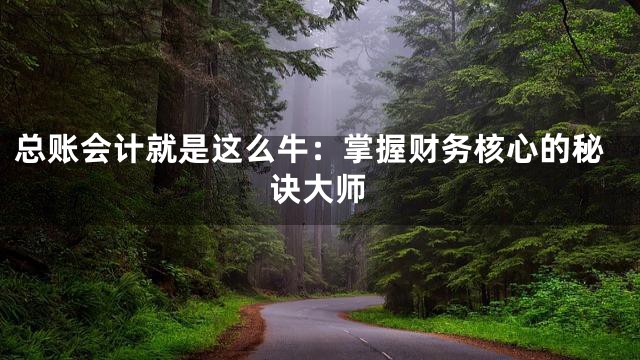 总账会计就是这么牛：掌握财务核心的秘诀大师