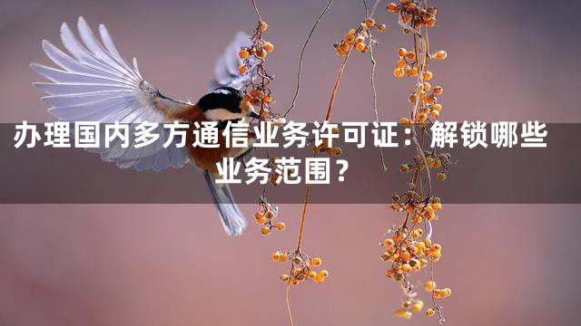 办理国内多方通信业务许可证：解锁哪些业务范围？