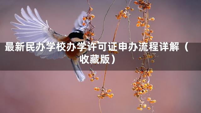 最新民办学校办学许可证申办流程详解（收藏版）