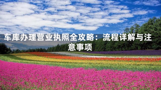车库办理营业执照全攻略：流程详解与注意事项