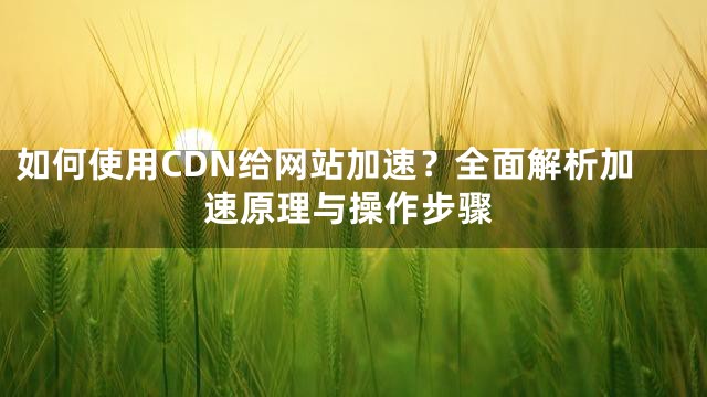 如何使用CDN给网站加速？全面解析加速原理与操作步骤