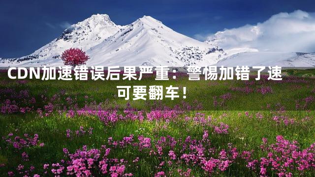CDN加速错误后果严重：警惕加错了速可要翻车！