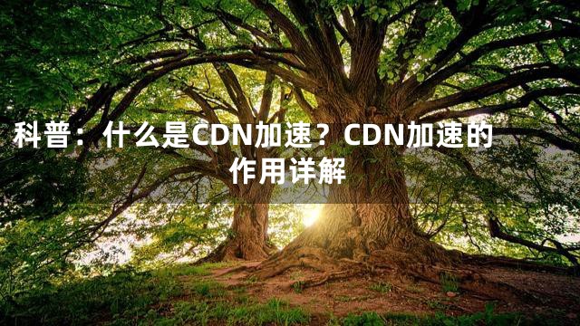 科普：什么是CDN加速？CDN加速的作用详解
