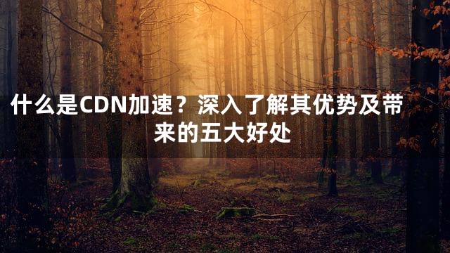 什么是CDN加速？深入了解其优势及带来的五大好处