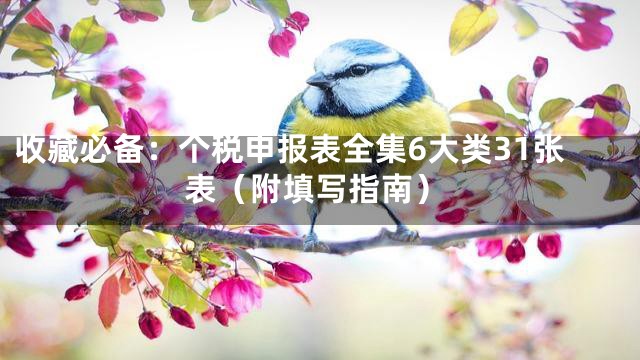 收藏必备：个税申报表全集6大类31张表（附填写指南）