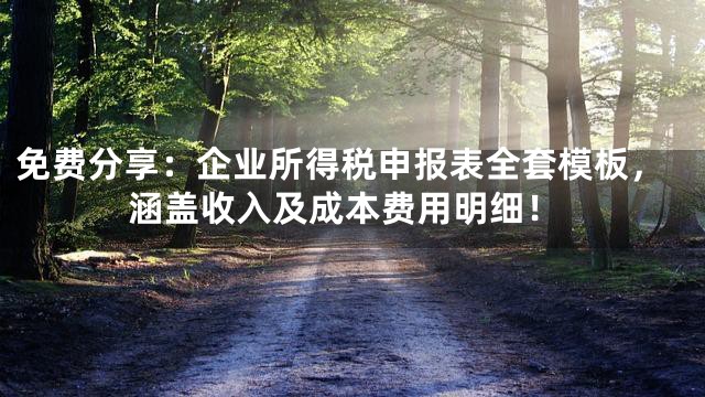 免费分享：企业所得税申报表全套模板，涵盖收入及成本费用明细！