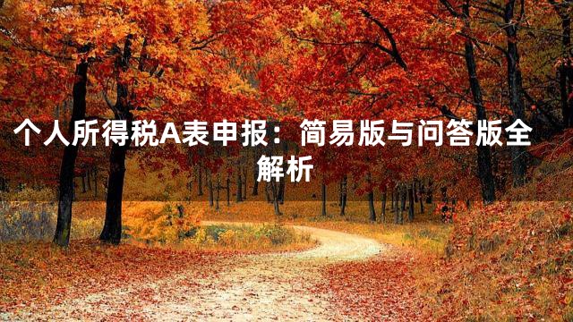 个人所得税A表申报：简易版与问答版全解析