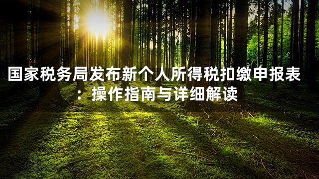 国家税务局发布新个人所得税扣缴申报表：操作指南与详细解读