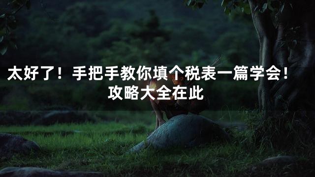 太好了！手把手教你填个税表一篇学会！攻略大全在此