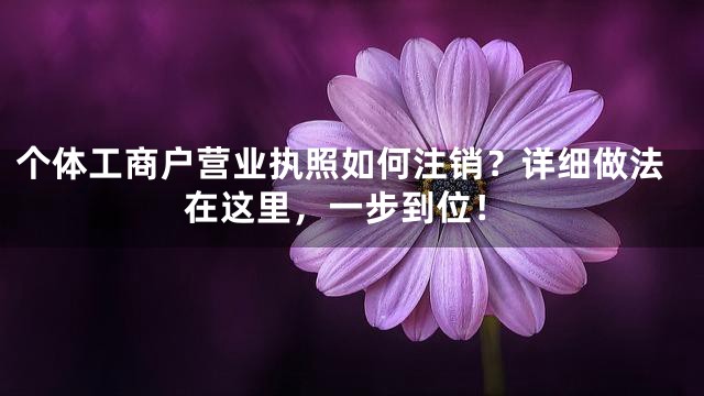 个体工商户营业执照如何注销？详细做法在这里，一步到位！
