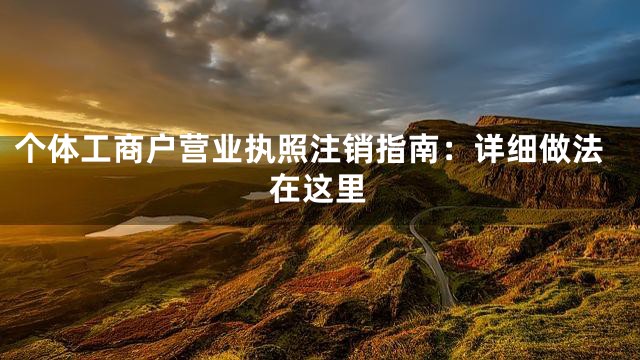 个体工商户营业执照注销指南：详细做法在这里