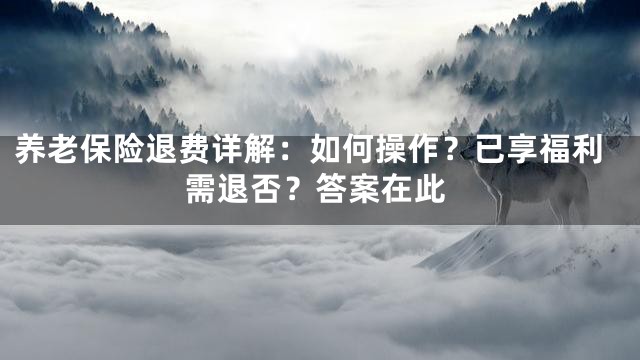 养老保险退费详解：如何操作？已享福利需退否？答案在此