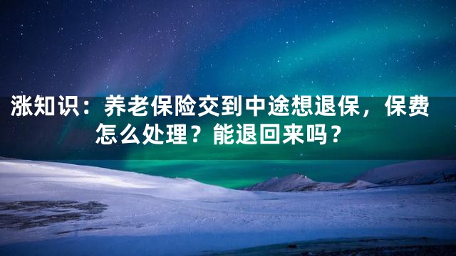 涨知识：养老保险交到中途想退保，保费怎么处理？能退回来吗？