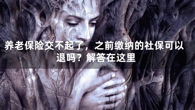 养老保险交不起了，之前缴纳的社保可以退吗？解答在这里
