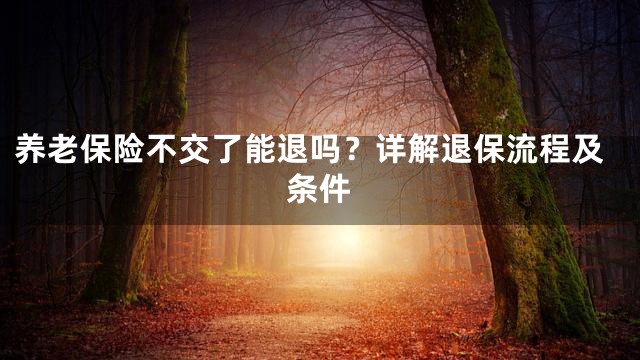 养老保险不交了能退吗？详解退保流程及条件