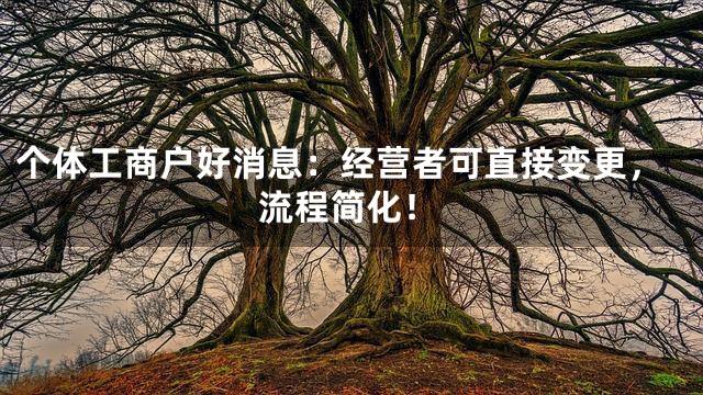 个体工商户好消息：经营者可直接变更，流程简化！
