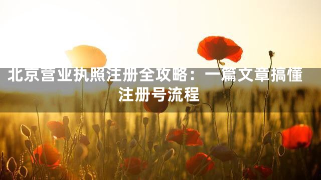 北京营业执照注册全攻略：一篇文章搞懂注册号流程