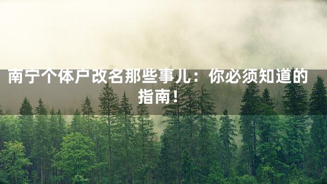 南宁个体户改名那些事儿：你必须知道的指南！