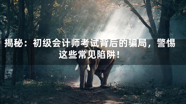 揭秘：初级会计师考试背后的骗局，警惕这些常见陷阱！