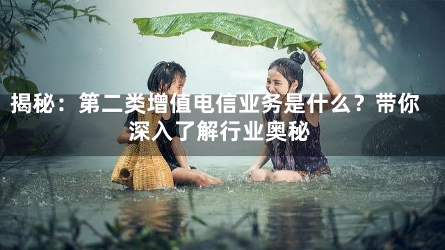 揭秘：第二类增值电信业务是什么？带你深入了解行业奥秘