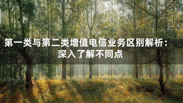 第一类与第二类增值电信业务区别解析：深入了解不同点