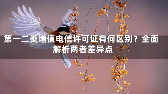 第一二类增值电信许可证有何区别？全面解析两者差异点