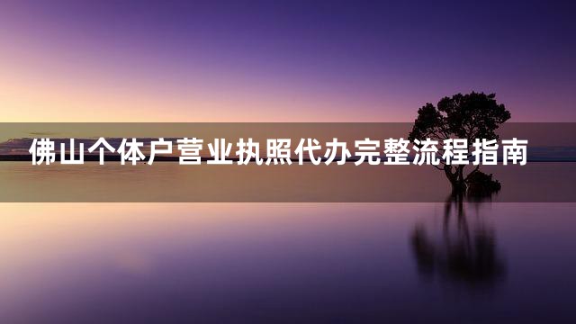 佛山个体户营业执照代办完整流程指南