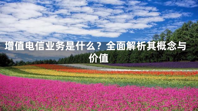 增值电信业务是什么？全面解析其概念与价值