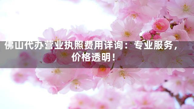 佛山代办营业执照费用详询：专业服务，价格透明！
