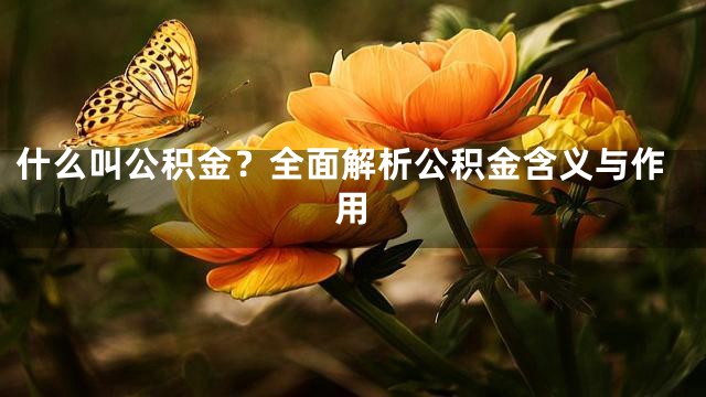 什么叫公积金？全面解析公积金含义与作用