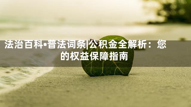 法治百科•普法词条|公积金全解析：您的权益保障指南