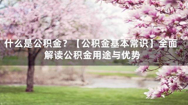 什么是公积金？【公积金基本常识】全面解读公积金用途与优势