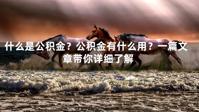 什么是公积金？公积金有什么用？一篇文章带你详细了解