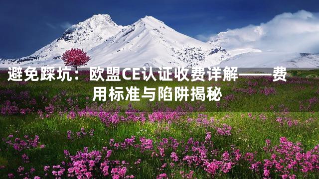 避免踩坑：欧盟CE认证收费详解——费用标准与陷阱揭秘